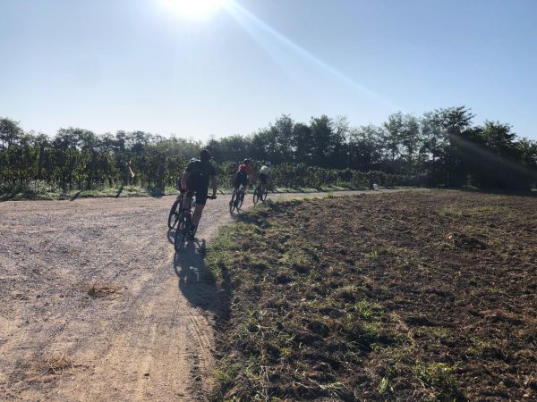 gallery Jeroboam 2019 - le magnum jusqu&#39;à la dernière goutte